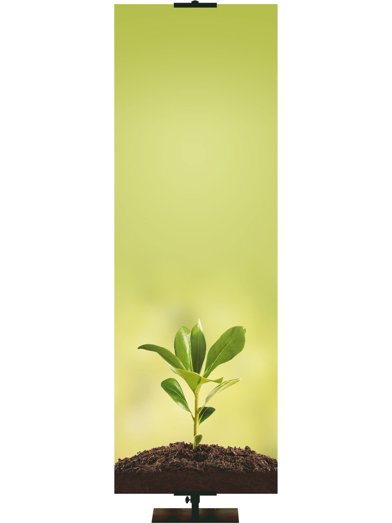 Custom Banner Economical Promise of Spring Grow in Knowledge