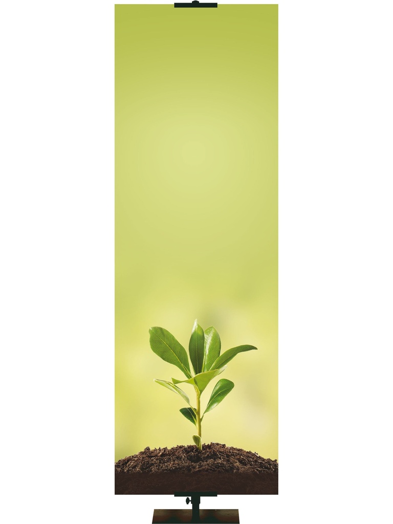 Custom Banner Economical Promise of Spring Grow in Grace