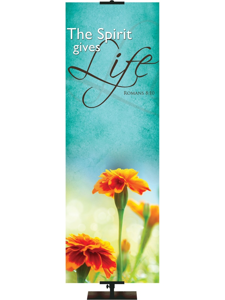 Renewal in Spring The Spirit Gives Life