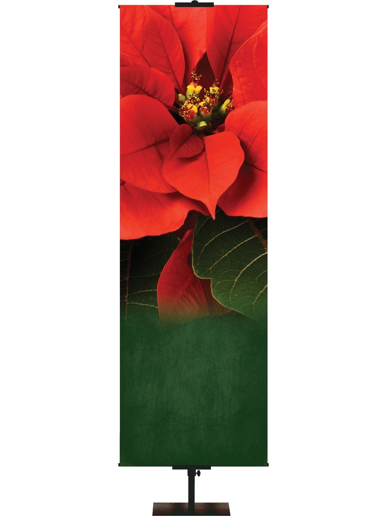 Custom Banner Colors of Christmas Worship Christ the Newborn King