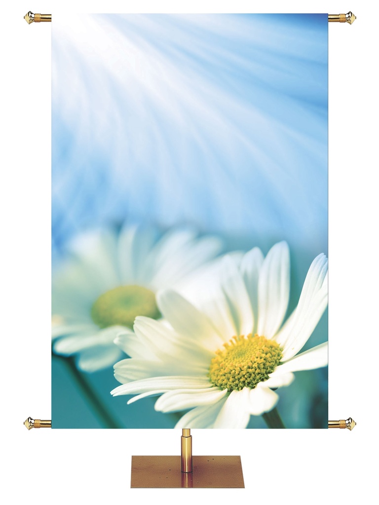 Custom Banner Signs of Spring Be Joyful In Hope