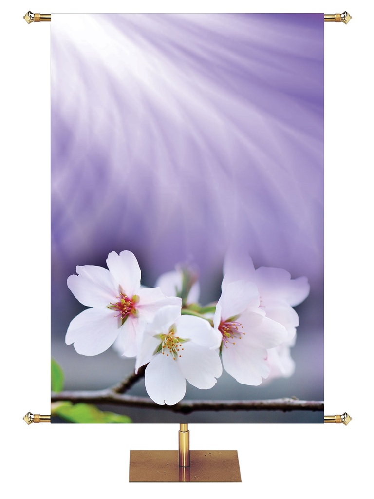 Custom Banner Signs of Spring His Love Endures