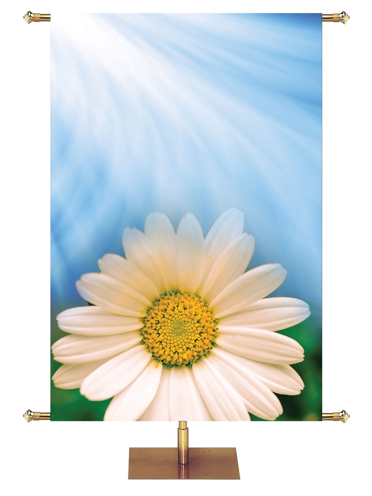 Custom Banner Signs of Spring Hope In the Lord