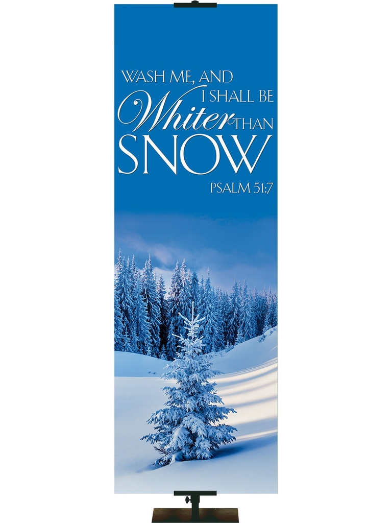 Portraits of Sacred Winter Whiter Than Snow A