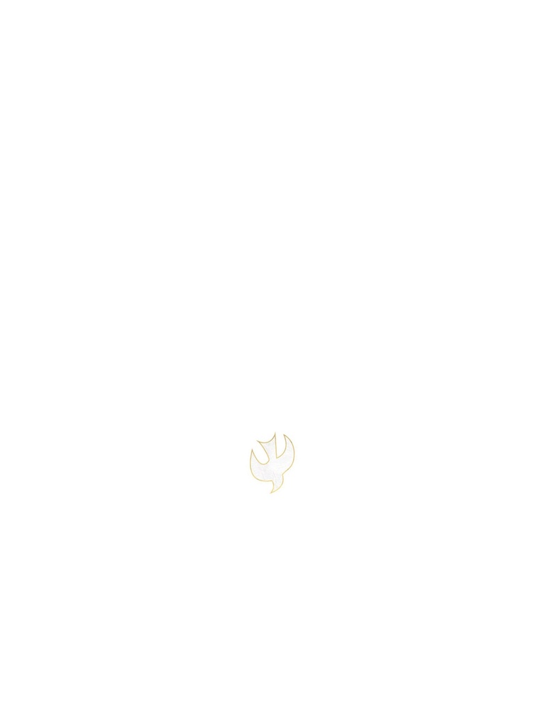 Bible Book Mark Experiencing God Collection Dove