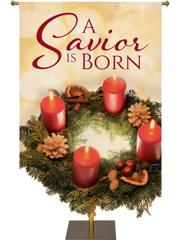 Contours of Christmas A Savior is Born