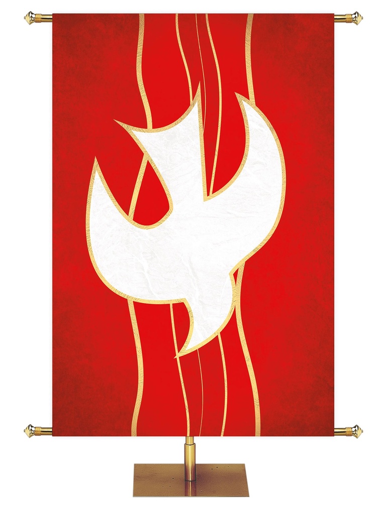 Irregular Experiencing God Symbols Dove