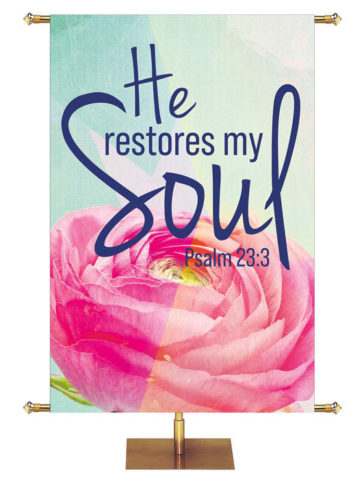 Irregular Impressions of Grace He Restores My Soul Psalm 23:3