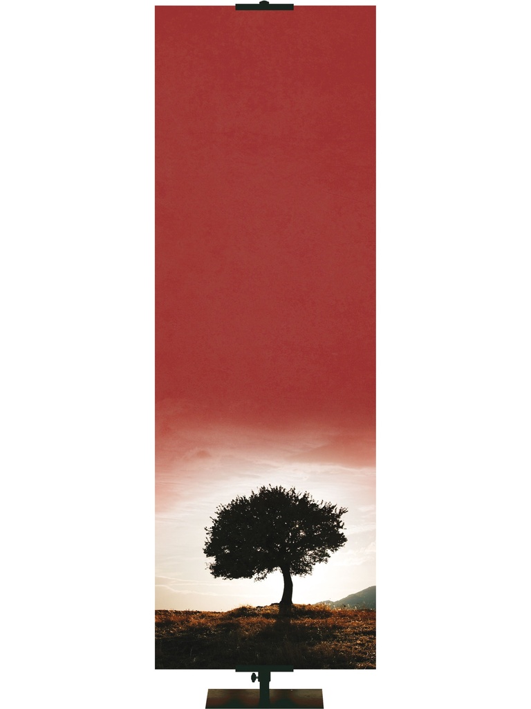 Custom Banner Words of Wisdom Design in 6 Color Options