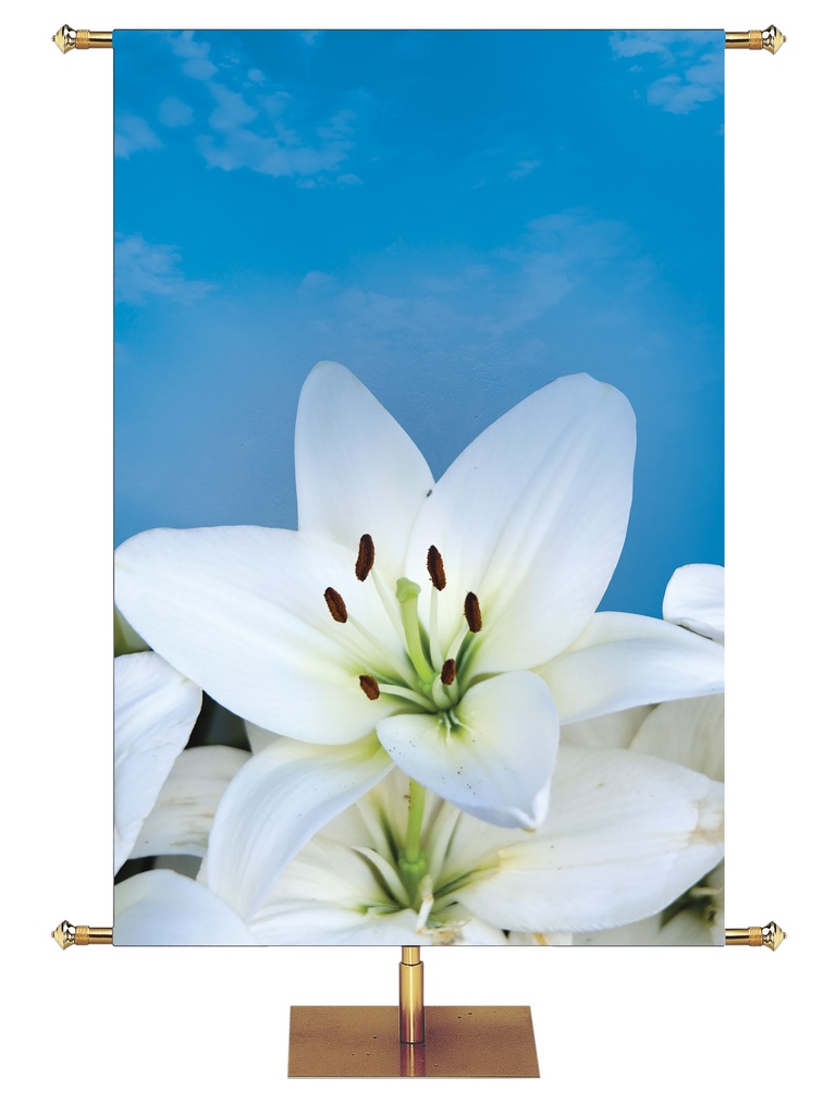 Custom Banner Joyous Easter He Who Believes
