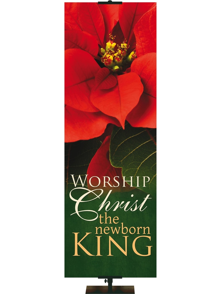 Colors of Christmas Worship Christ the Newborn King