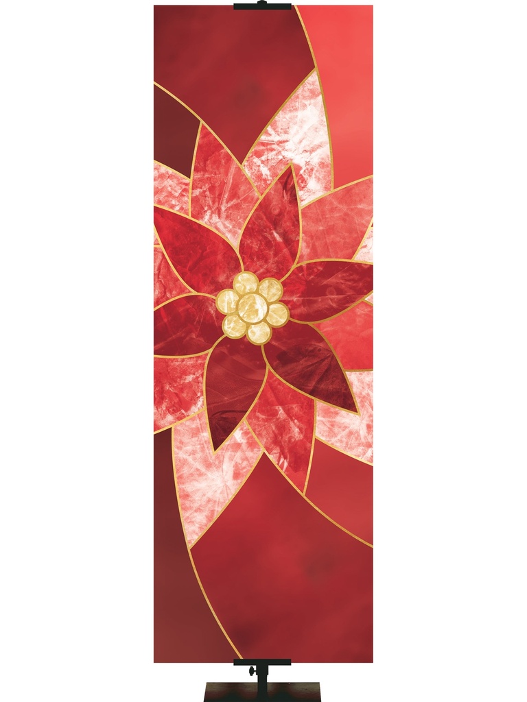 Colors of the Liturgy Poinsettia