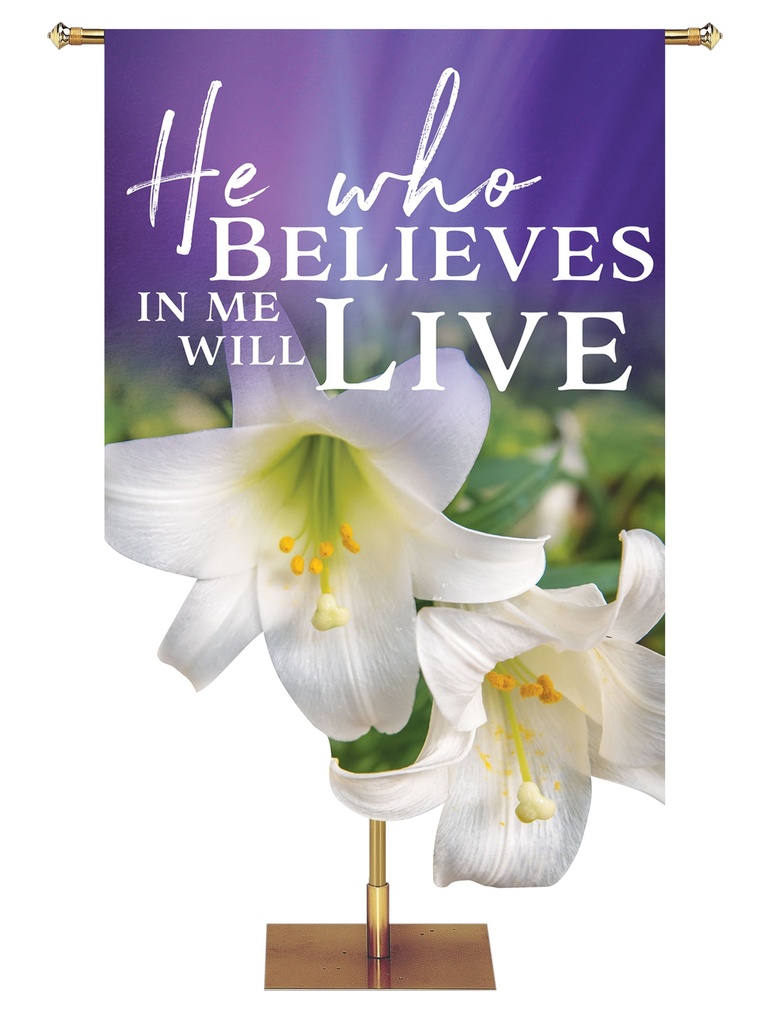 Contours of Easter He Who Believes Lily