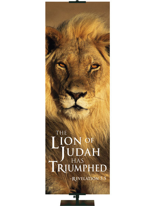 Creation Lion of Judah