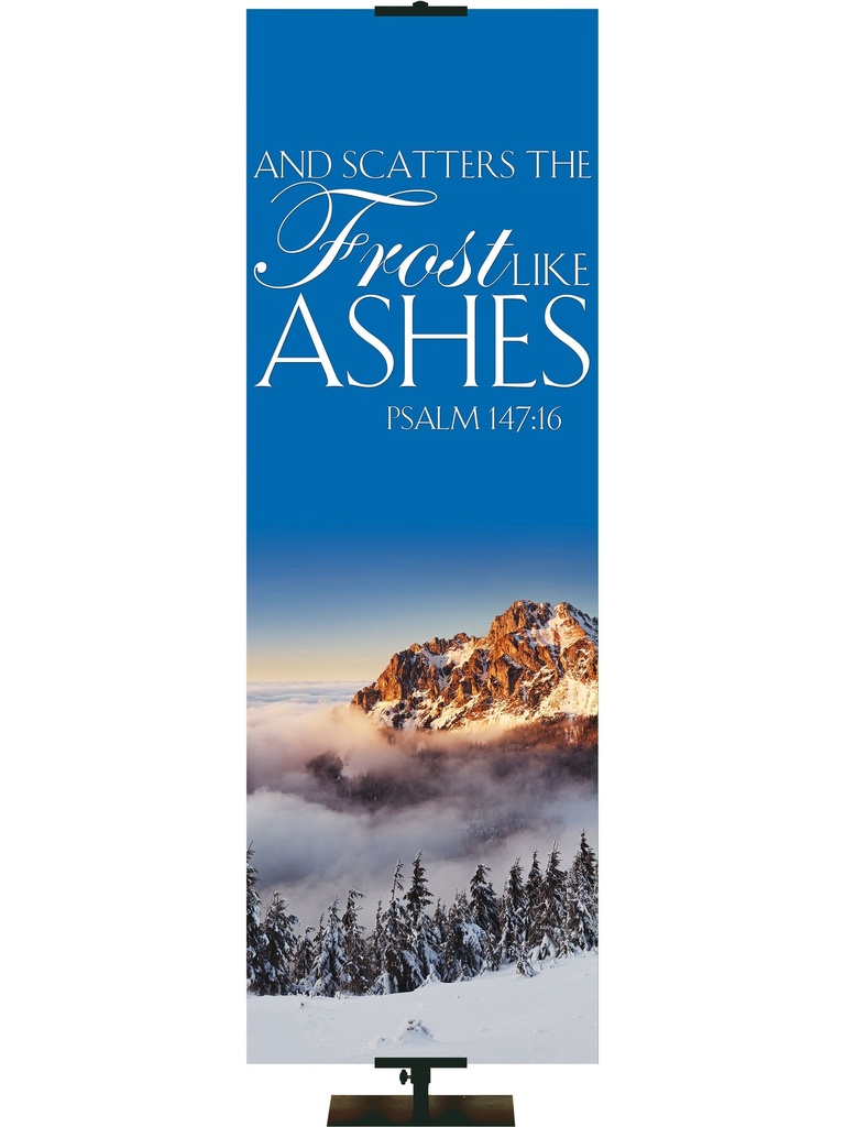 Portraits of Sacred Winter Frost like Ashes F