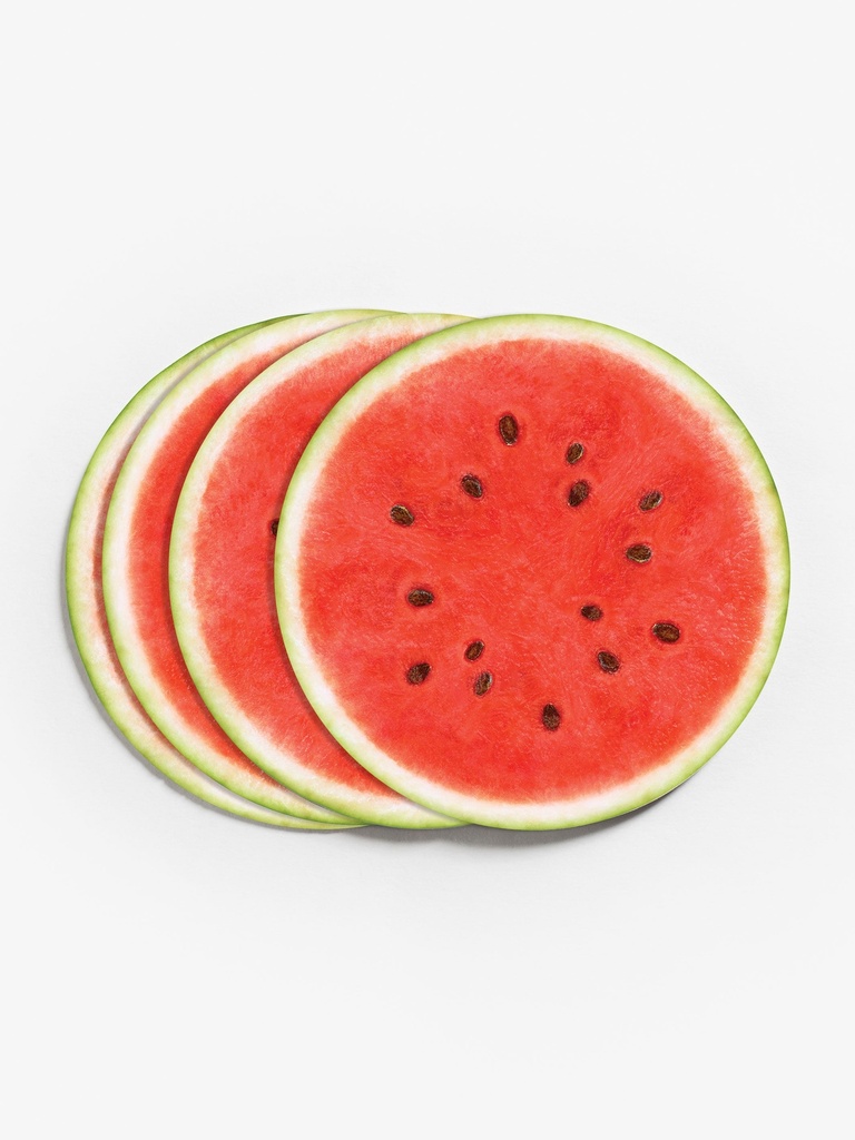 Melon Slice Vinyl Coasters (Set of 4)