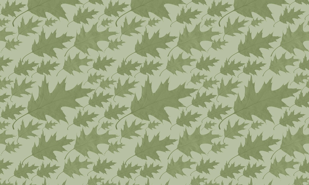 Autumn Oak Vinyl Placemats (set of 4)